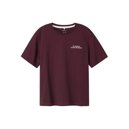 NAME IT KIDS Kasper T-shirt - fig