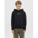 JACK & JONES JUNIOR Norrebro Broderet Hoodie - Sort