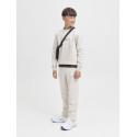 JACK & JONES JUNIOR Soho Sweatshirt - Moonbeam