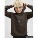 JACK & JONES JUNIOR Soho Hoodie - Delicioso