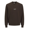 JACK & JONES JUNIOR Soho Sweatshirt - Delicioso