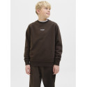 JACK & JONES JUNIOR Soho Sweatshirt - Delicioso