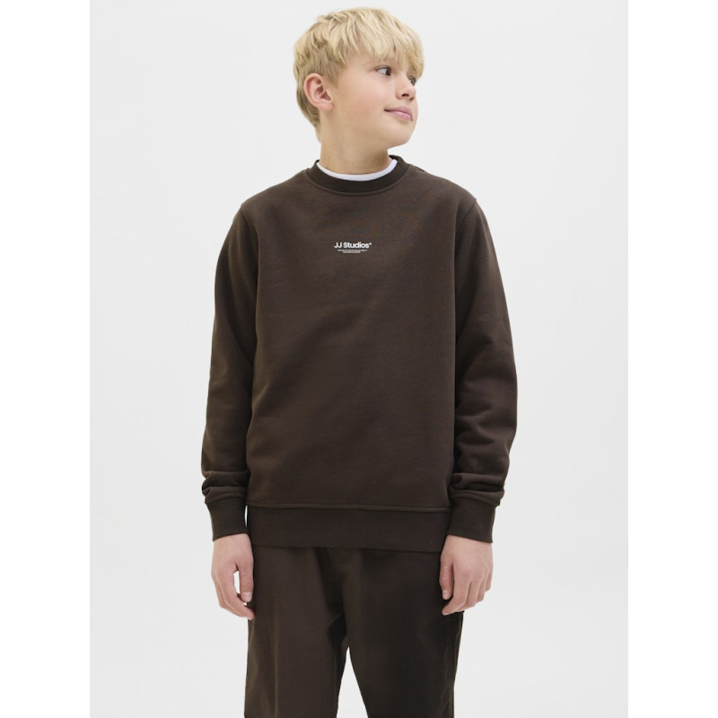 JACK & JONES JUNIOR Soho Sweatshirt - Delicioso