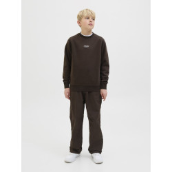 JACK & JONES JUNIOR Soho Sweatshirt - Delicioso