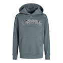 JACK & JONES JUNIOR Caleb Varsity Sweatshirt - Stormy Weather
