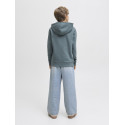 JACK & JONES JUNIOR Caleb Varsity Sweatshirt - Stormy Weather