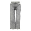 ONLY CARMAKOMA Willy Jeans - Grey Denim
