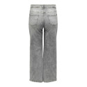 ONLY CARMAKOMA Willy Jeans - Grey Denim