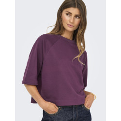 ONLY Dasie 2/4 Raglan Sweatshirt - Mauve Wine