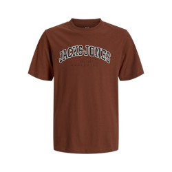JACK & JONES PLUS Caleb Varsity T-Shirt - Burnt Henna