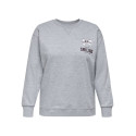 ONLY CARMAKOMA Iggy L/S Sweatshirt - Light Grey Melange
