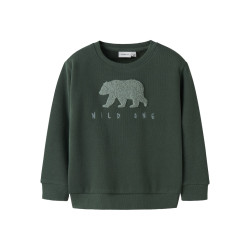 NAME IT Mini Bear Sweatshirt - Garden Topiary
