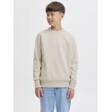 JACK & JONES Junior Jin Sweatshirt - Moonbeam