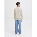 JACK & JONES Junior Jin Sweatshirt - Moonbeam