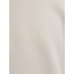 JACK & JONES Junior Jin Sweatshirt - Moonbeam