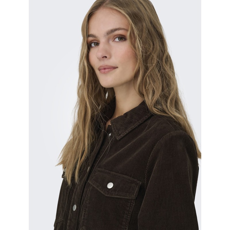 JDY Shiraz S/S Fløjl Kjole - Coffee Bean