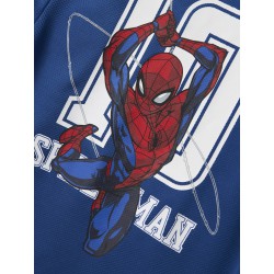 NAME IT MINI Matz Spider T-shirt - Limoges