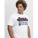 Jack & Jones PLUS Logo T-shirt - Cloud Dancer
