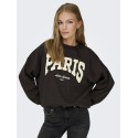 JDY Mesa langærmet sweatshirt - Ganache