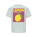 KDIS ONLY Carina S/S Løs Print T-shirt - Wan Blue