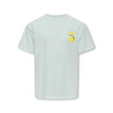 KDIS ONLY Carina S/S Løs Print T-shirt - Wan Blue