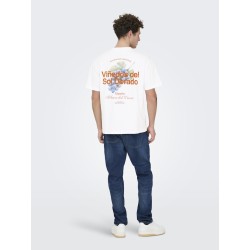ONLY & SONS Fred Relaxed S/S Print T-shirt - Bright White / Vinedos