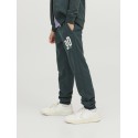JACK & JONES Junior Tribeca Sweatpants - Magical Forest