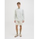JJ REBEL Sharp Chino Shorts - Moonbeam