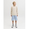 JACK & JONES Junior Alex Baggy Denim Shorts - Blue Denim