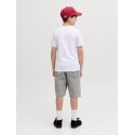 JACK & JONES Junior Alex Baggy Shorts - Grey Denim