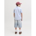 JACK & JONES Junior Ron Baggy Shorts - Blue Denim