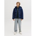 JACK & JONES Junior Alex Baggy Original Jeans - Blue Denim