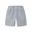 NAME IT Kids Denis Shorts - Vintage Indigo