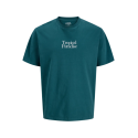 JJ REBEL Christian Kortærmet T-shirt - Mediterranea