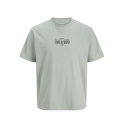 JJ REBEL Christian Kortærmet T-shirt - Aqua Gray