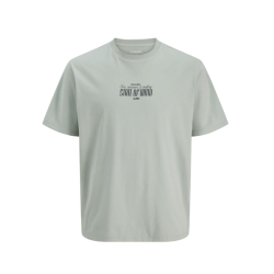 JJ REBEL Christian Kortærmet T-shirt - Aqua Gray