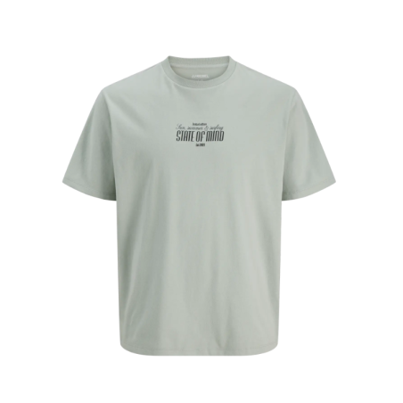 JJ REBEL Christian Kortærmet T-shirt - Aqua Gray