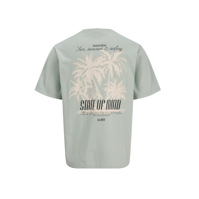 JJ REBEL Christian Kortærmet T-shirt - Aqua Gray