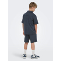 ONLY & SONS JUNOR New Kody shorts - Ombre Blue