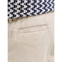 JACK & JONES Junior Jaiden Hybrid Hør Jogger Shorts - Moonbeam