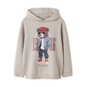 NAME IT Kids Dobs Hoodie Sweatshirt - Chateau Gray