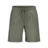 JACK& JONES Plus Jaiden Tyson Jogger Shorts - Vetiver