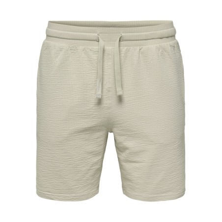 ONLY & SONS Kian Life Seers shorts - Silver Lining