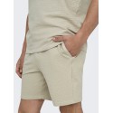 ONLY & SONS Kian Life Seers shorts - Silver Lining