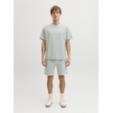 JJ REBEL Gorm Reg Rebel logo sweat shorts - Aqua Gray