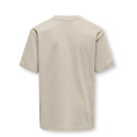 ONLY & SONS JUNIOR Fred Life T-shirt - Silver Linning