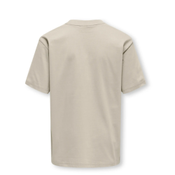 ONLY & SONS JUNIOR Fred Life T-shirt - Silver Linning