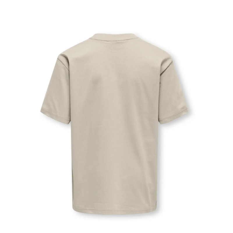 ONLY & SONS JUNIOR Fred Life T-shirt - Silver Linning