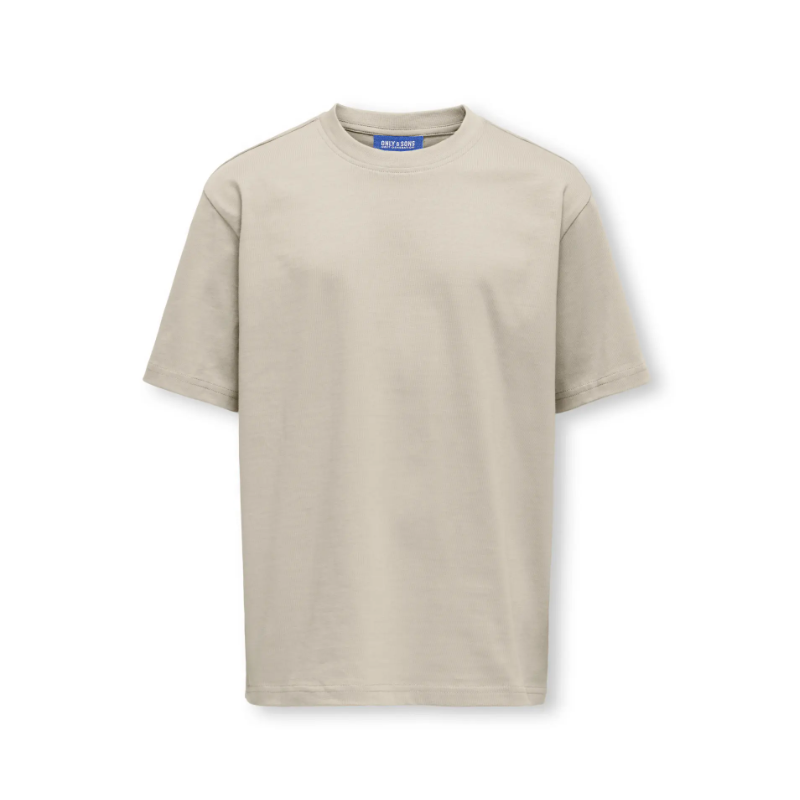 ONLY & SONS JUNIOR Fred Life T-shirt - Silver Linning