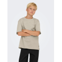 ONLY & SONS JUNIOR Fred Life T-shirt - Silver Linning